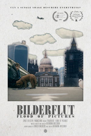 Bilderflut: Flood of Pictures Bilderflut: Flood of Pictures
