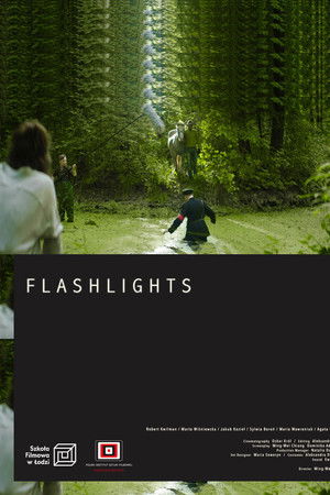 Flashlights