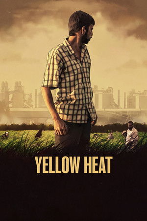 Yellow Heat Yellow Heat