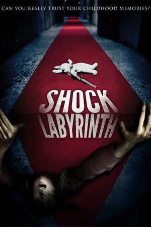 The Shock Labyrinth The Shock Labyrinth