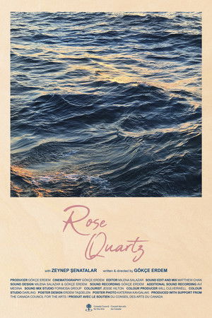 Rose Quartz Rose Quartz