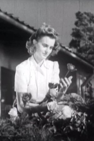 Stay a While! Stay a While!