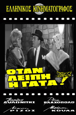 When the Cat is Missing! When the Cat is Missing!