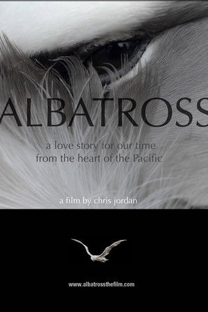 Albatross Albatross