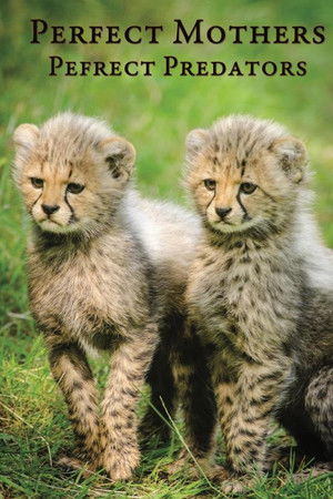 Perfect Mothers, Perfect Predators Perfect Mothers, Perfect Predators