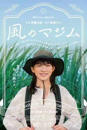 Kaze no majimu Kaze no majimu