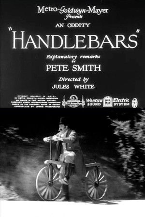 Handlebars