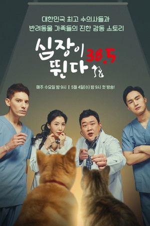 심장이 뛴다 38.5