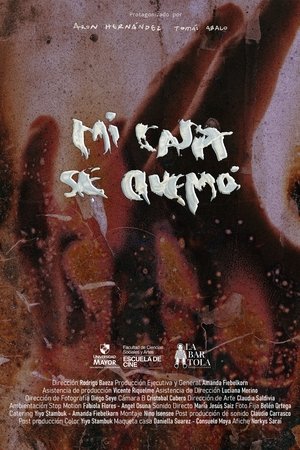 My House got Burned My House got Burned