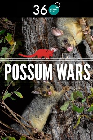 Possum Wars Possum Wars