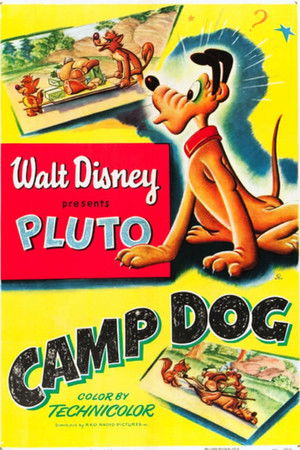 Camp Dog Camp Dog