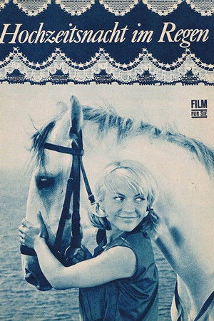 Wedding Night In The Drizzle Wedding Night In The Drizzle