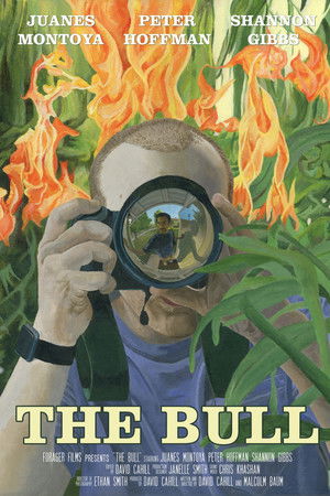 The Bull The Bull