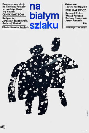 White Tracks White Tracks