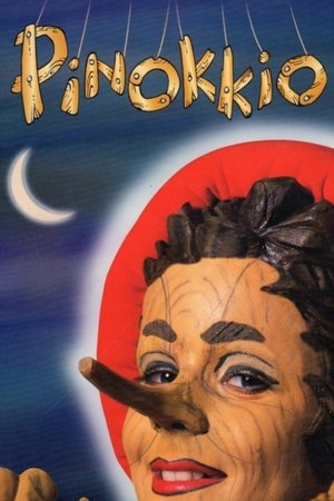 Pinokkio The Musical Pinokkio The Musical