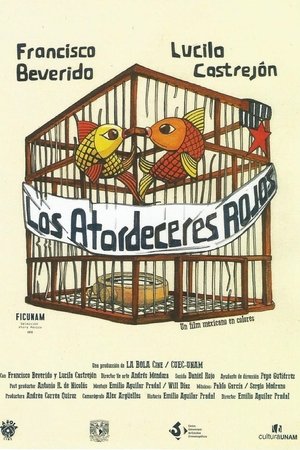 The Red Sunsets The Red Sunsets