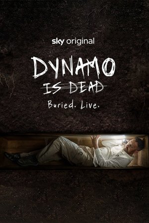 Dynamo Is Dead Dynamo Is Dead
