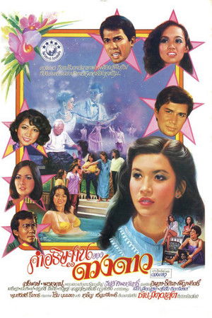 Dao’s Wish Dao’s Wish