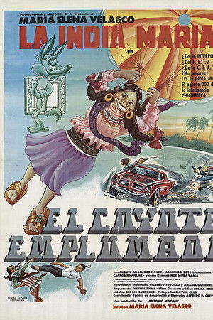 The Feathered Coyote The Feathered Coyote