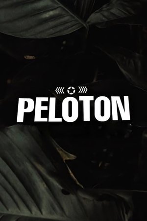 Pelotón Pelotón