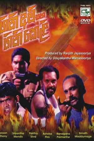 Firearms and Fireworks