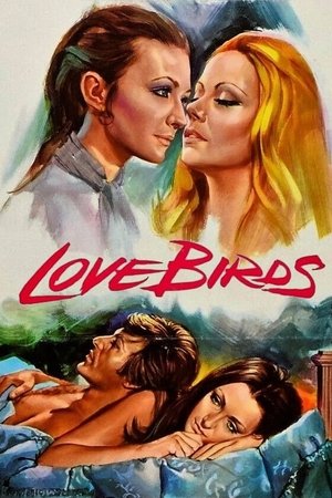 Love Birds Love Birds