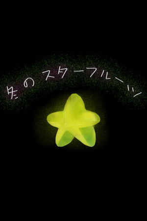 Winter Star Winter Star