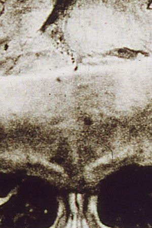 The Red Gate: Magellan at the Gates of Death, Part I The Red Gate: Magellan at the Gates of Death, Part I