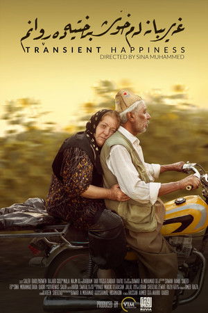 Transient Happiness Transient Happiness