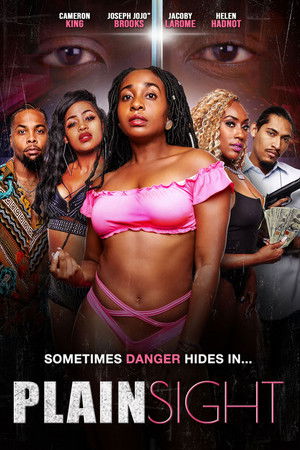 Plain Sight Plain Sight