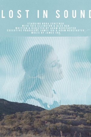 Lost in Sound Lost in Sound