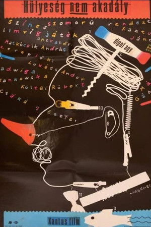 Hülyeség nem akadály