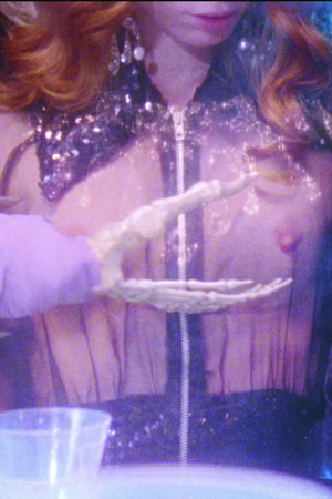 Apprivoisé Apprivoisé