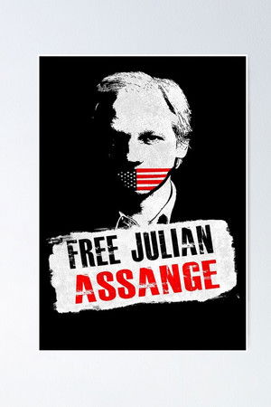 Julian Assange: Chronik einer Spionageaffäre