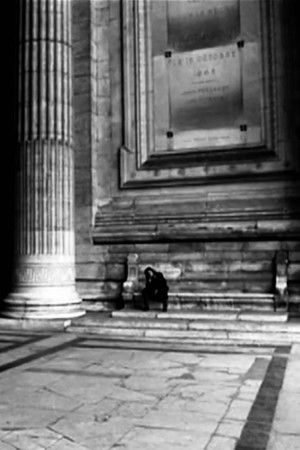 Venus in Furs Venus in Furs