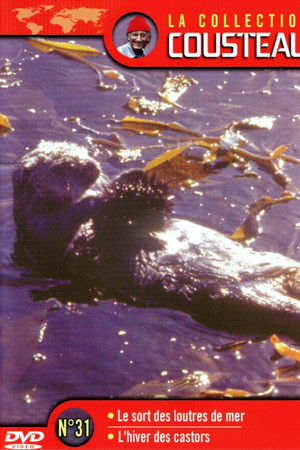 The Cousteau Collection N°31-1 | The Fate of Sea Otters