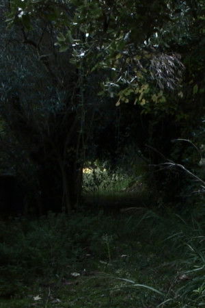 Dove Non Siamo Stati Dove Non Siamo Stati