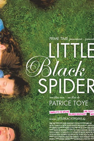 Little Black Spiders Little Black Spiders