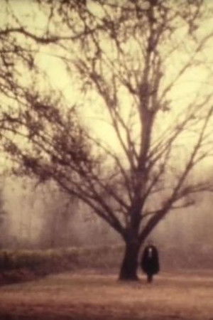 D. Jaime or the Portuguese Night