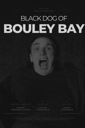 Black Dog of Bouley Bay