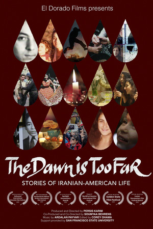 The Dawn is Too Far: Stories of Iranian-American Life