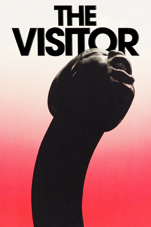 The Visitor The Visitor