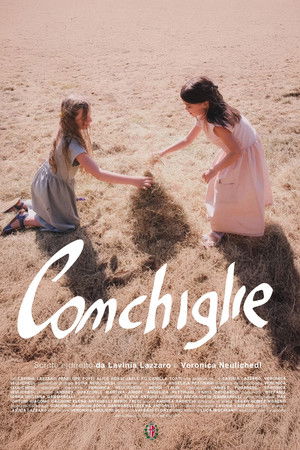 Conchiglie Conchiglie