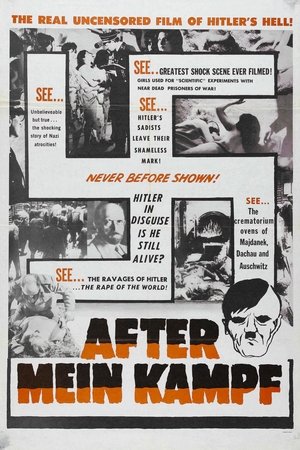 After Mein Kampf? After Mein Kampf?