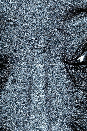 Il falco e la rondine Il falco e la rondine