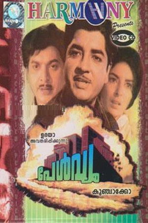 Pearl View Pearl View