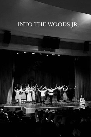 Into The Woods (AUS Productions) Into The Woods (AUS Productions)