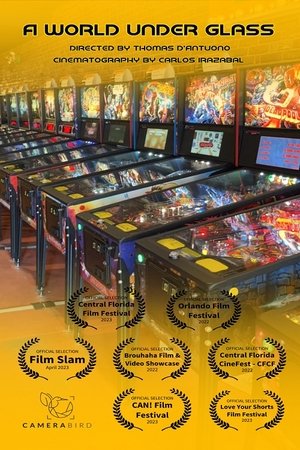 A World Under Glass A World Under Glass