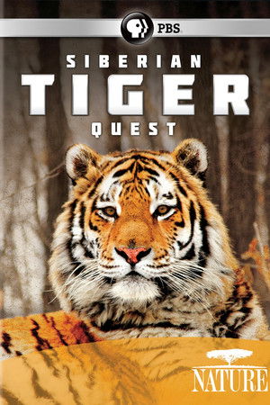 Siberian Tiger Quest