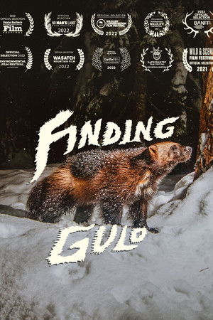 Finding Gulo Finding Gulo